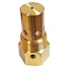 VÁLVULA CHECK RECTA 1" X 1-1/4" BRONCE ENTRADA NPT CARROLL CAR-ACTB1114